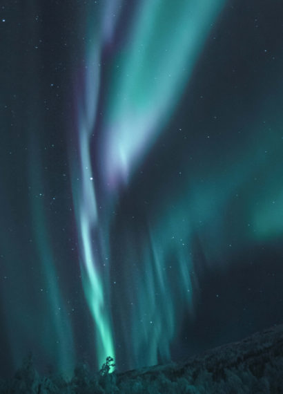 northern lights at night