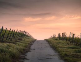 a path at sunset