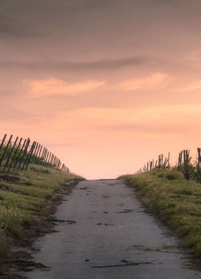 a path at sunset