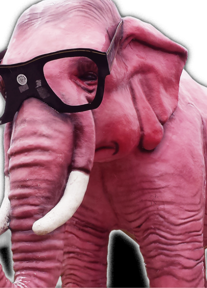 pink elephant with glasses