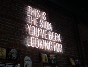 A neon sign that reads: This is the sign you've been looking for.
